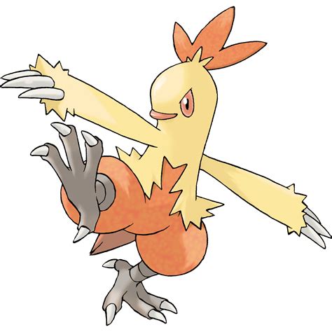 Combusken Pokédex .